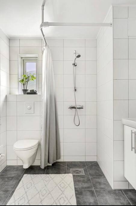 Northern Dreams Apartment With Free Parking Тромсе Екстер'єр фото