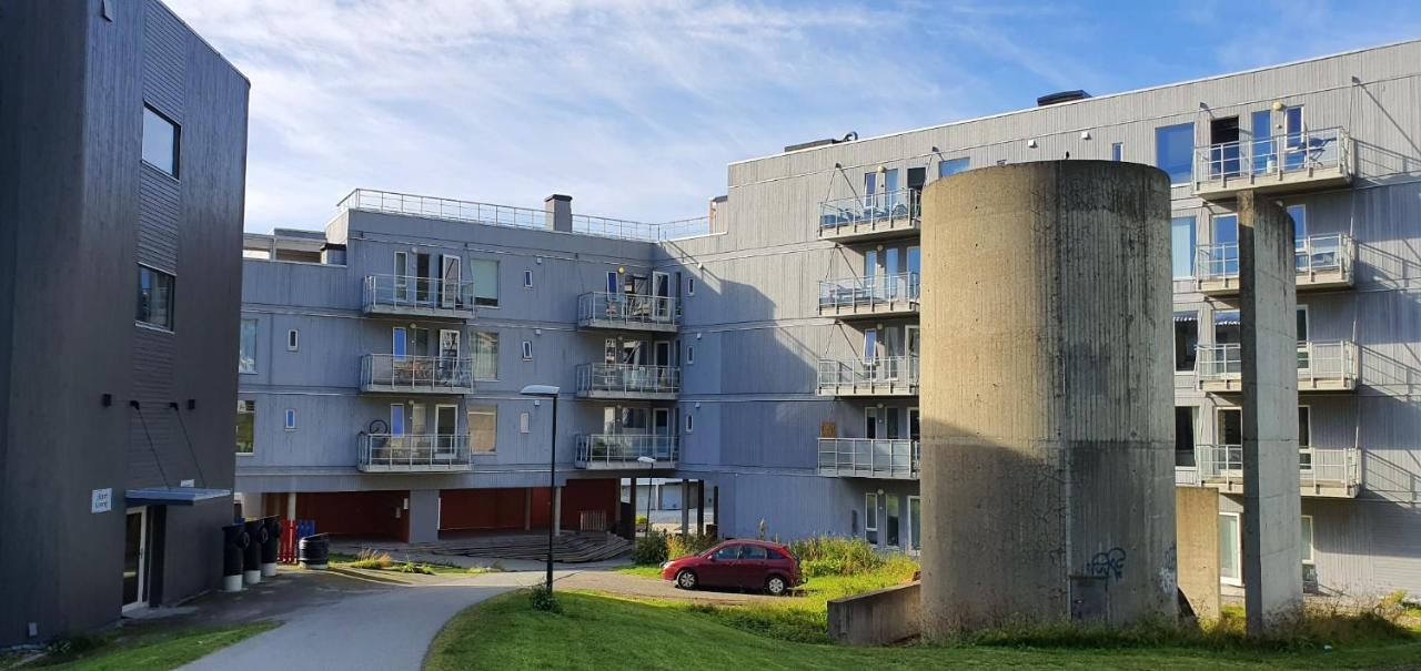 Northern Dreams Apartment With Free Parking Тромсе Екстер'єр фото