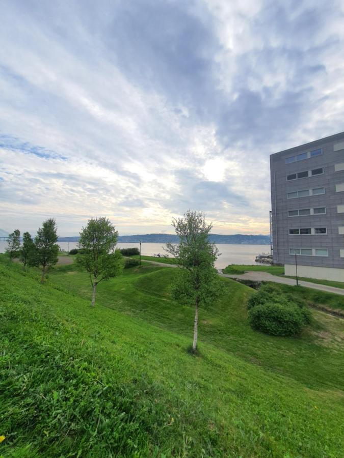 Northern Dreams Apartment With Free Parking Тромсе Екстер'єр фото